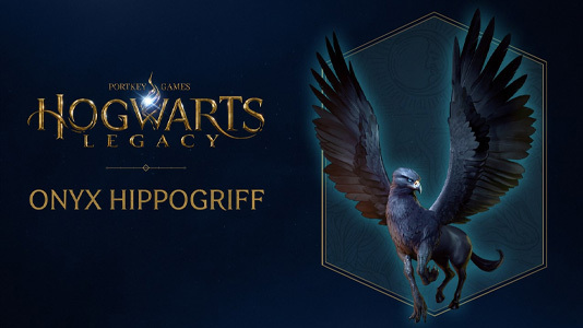<p style="margin:0cm"><span style="font-size:11pt"><span style="font-family:Calibri,sans-serif">ORDER NOW and receive the EXCLUSIVE Onyx Hippogriff</span></span></p>
