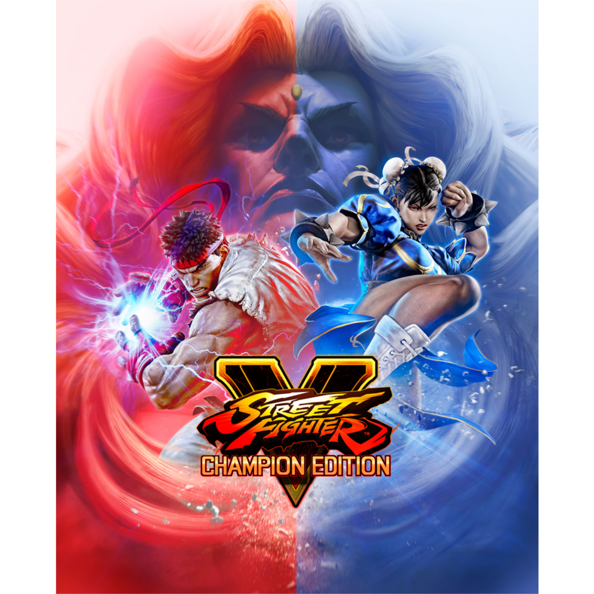 Buy Street Fighter V - Season 5 Character Pass (PC) - Steam Key