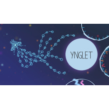 Ynglet