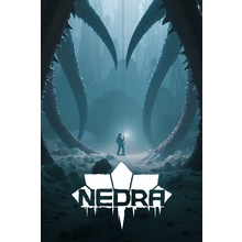 nedra.png