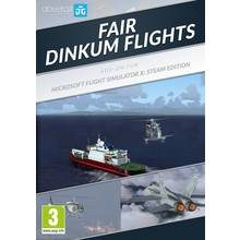 Microsoft Flight Simulator X: Steam Edition: Fair 