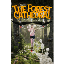 the-forest-cathedral.png
