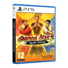 PS5CO02_thumbnail_cobra-kai--ps__d.jpg