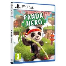 PS5PA00_pdhat_d.jpg