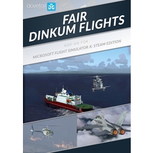 Microsoft Flight Simulator X: Steam Edition: Fair 
