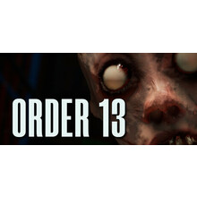 ORDER 13