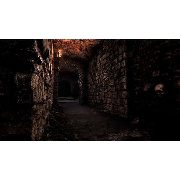 Lunacy: Saint Rhodes