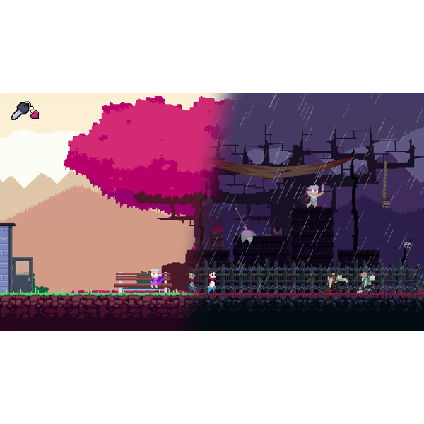 What Lies in the Multiverse