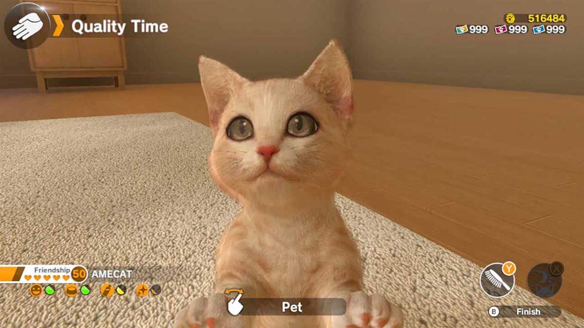 Little Friends: Dogs & Cats (Code in Box) - Switch
