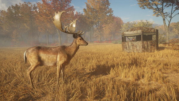 theHunter: Call of the Wild™ - Tents & Ground Blin