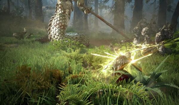 Black Desert Prestige Edition