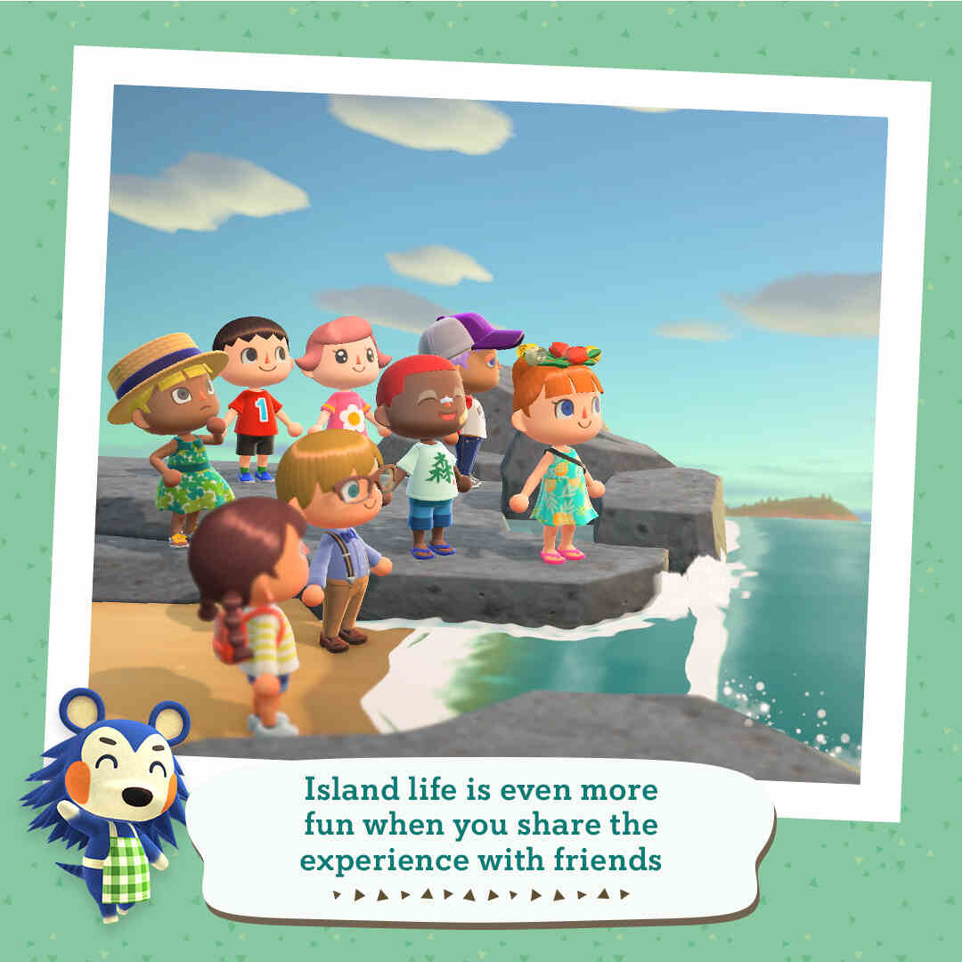 Nintendo Switch Lite Animal Crossing: New Horizons Timmy & Tommy Aloha Edition 