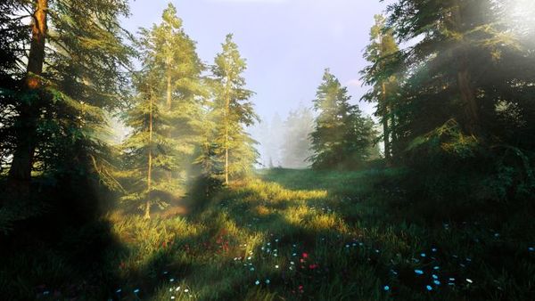 Hunting Simulator 2 - Switch