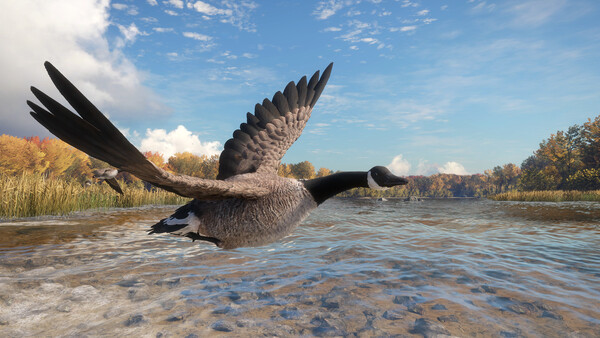 theHunter: Call of the Wild™ - Wild Goose Chase Ge