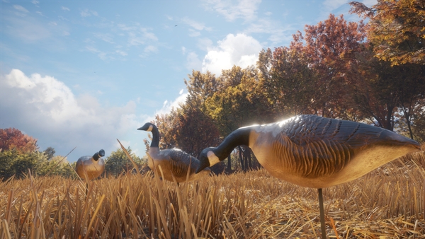 theHunter: Call of the Wild™ - Wild Goose Chase Ge