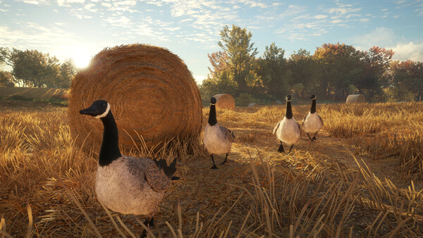 theHunter: Call of the Wild™ - Wild Goose Chase Ge