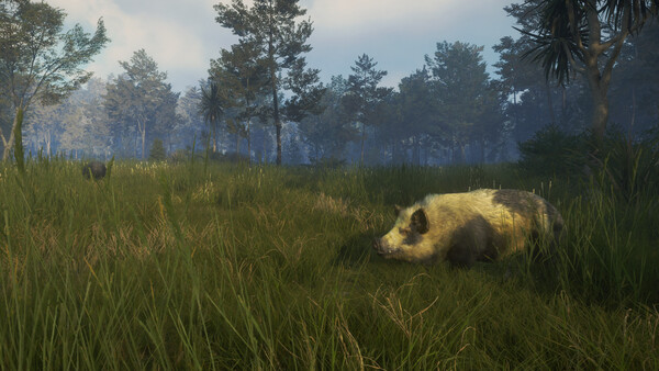 theHunter: Call of the Wild™ - Te Awaroa National Park