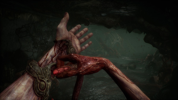Scorn Deluxe Edition (Steam)