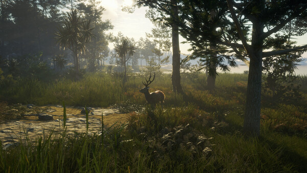 theHunter: Call of the Wild™ - Te Awaroa National 