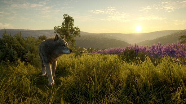 theHunter: Call of the Wild™ - Cuatro Colinas Game