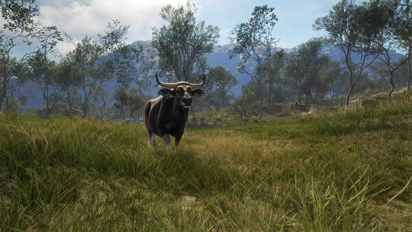 theHunter: Call of the Wild™ - Emerald Coast Austr