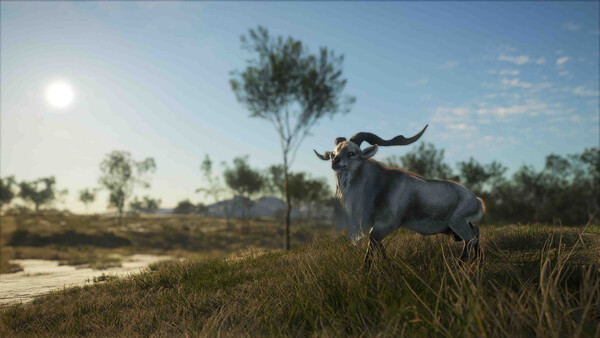 theHunter: Call of the Wild™ - Emerald Coast Austr