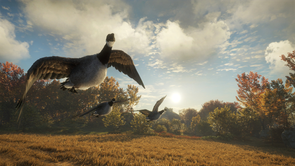 theHunter: Call of the Wild™ - Wild Goose Chase Ge