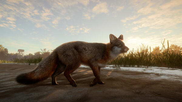 theHunter: Call of the Wild™ - Mississippi Acres P