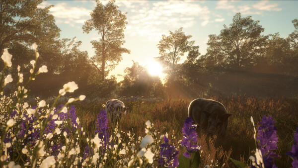 theHunter: Call of the Wild™ - Mississippi Acres P