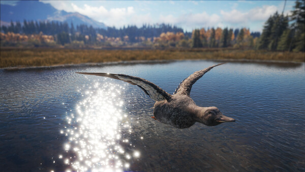 theHunter: Call of the Wild™ - Duck and Cover Pack