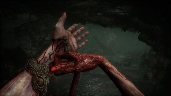 Scorn Deluxe Edition (Steam)