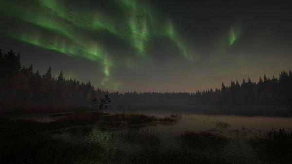 theHunter: Call of the Wild™ - Revontuli Coast