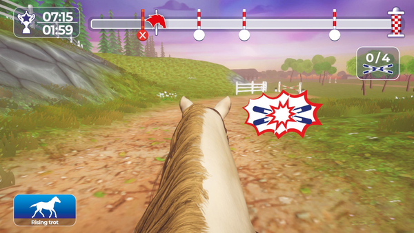 Equestrian Training
