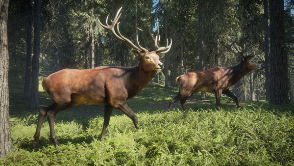 theHunter: Call of the Wild™