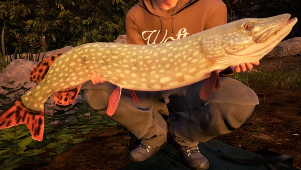 Fishing Sim World®: Pro Tour – Jezioro Bestii