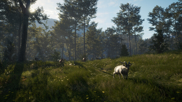 theHunter: Call of the Wild™ - Te Awaroa National 