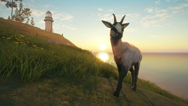 theHunter: Call of the Wild™ - Te Awaroa National 
