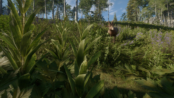 theHunter: Call of the Wild™ - Silver Ridge Peaks