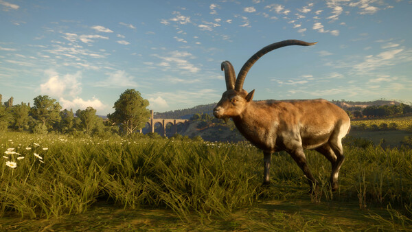 theHunter: Call of the Wild™ - Cuatro Colinas Game
