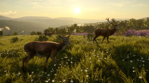 theHunter: Call of the Wild™ - Cuatro Colinas Game