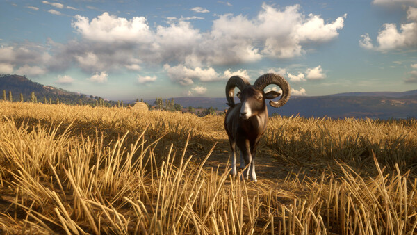theHunter: Call of the Wild™ - Cuatro Colinas Game
