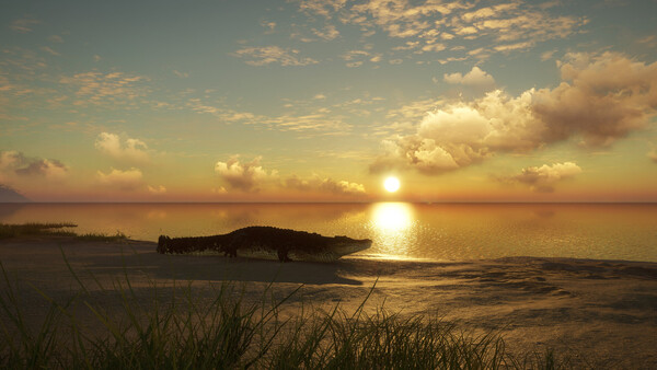 theHunter: Call of the Wild™ - Emerald Coast Austr