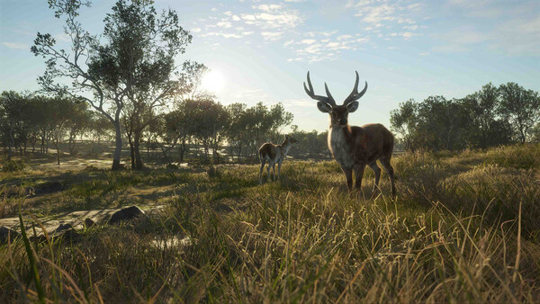 theHunter: Call of the Wild™ - Emerald Coast Austr