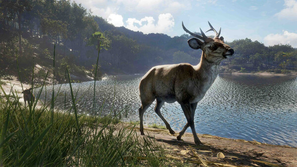 theHunter: Call of the Wild™ - Emerald Coast Austr