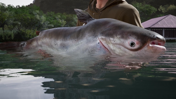 Fishing Sim World®: Pro Tour – Giant Carp Pack