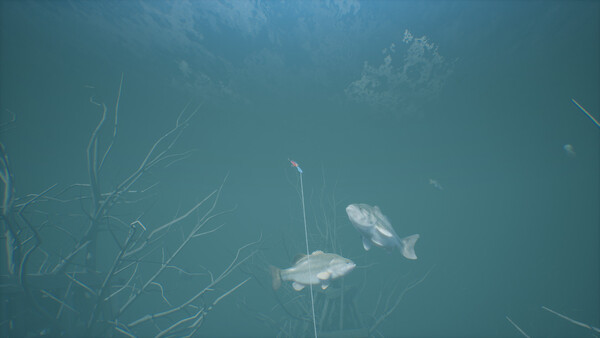 Bassmaster® Fishing 2022