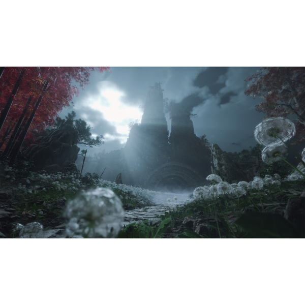 Wuchang: Fallen Feathers Deluxe Edition (ROW)
