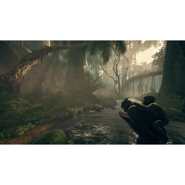 Ancestors: The Humankind Odyssey (ROW)