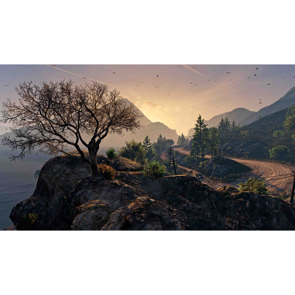 Grand Theft Auto V Enhanced & Great White Shark Ca