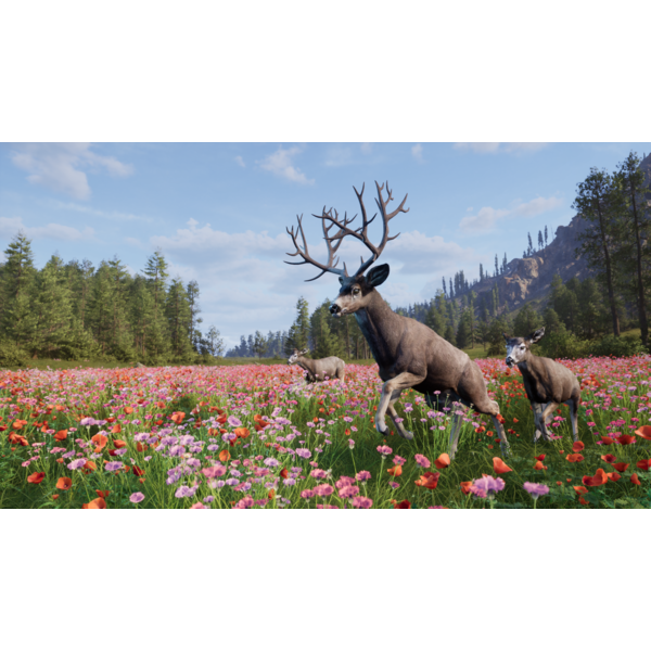 Way of the Hunter 2 (ROW) PC Download